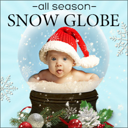 All-Season Snow Globe