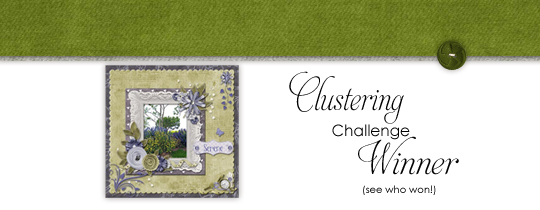 Clustering Challenge Winner