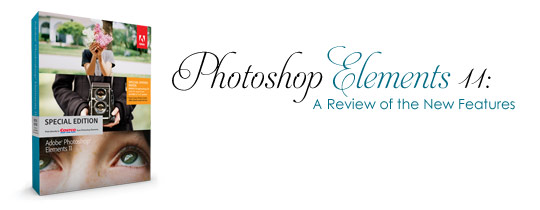 Photoshop Elements 11: A Review of the New Features