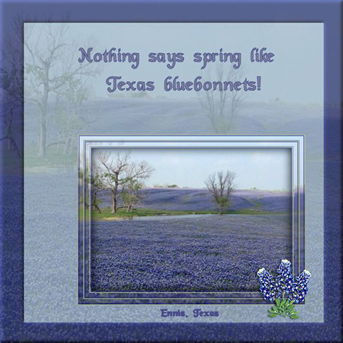 Spring_in_Texas