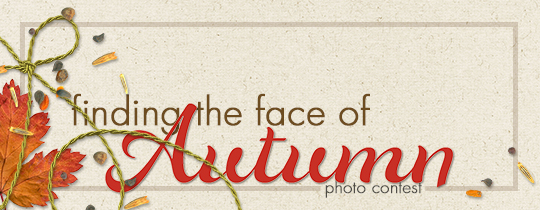 Finding the Face of Autumn Photo Contest