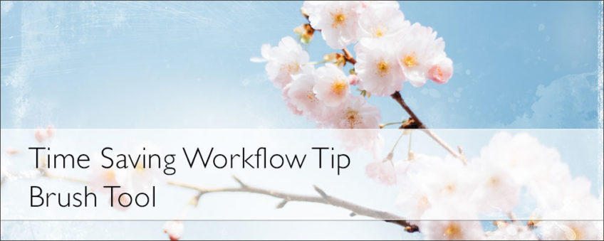 Time Saving Workflow Tip — Brush Tool