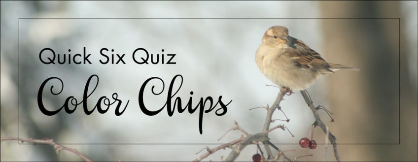 Quick Six Quiz – Color Chips