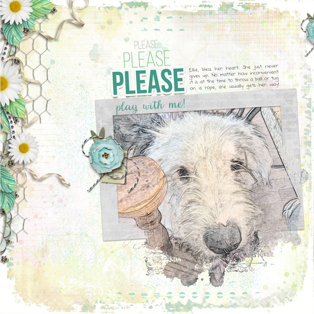 Page & Photo: Kellie Linn Template: Digital Scrapper Design Beautiful Pages, Effective Framing Kit: Love My Dog by Karen Schultz Tutorial: Sketch Effect Pt. 2 by Karen Schultz Fonts: Bebas Neue, Aristelle Script, DJB Annalise the Brave