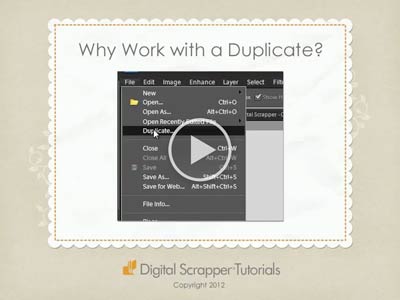 02 Why Work with a Duplicate?