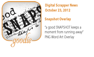 Snapshot Overlay Download